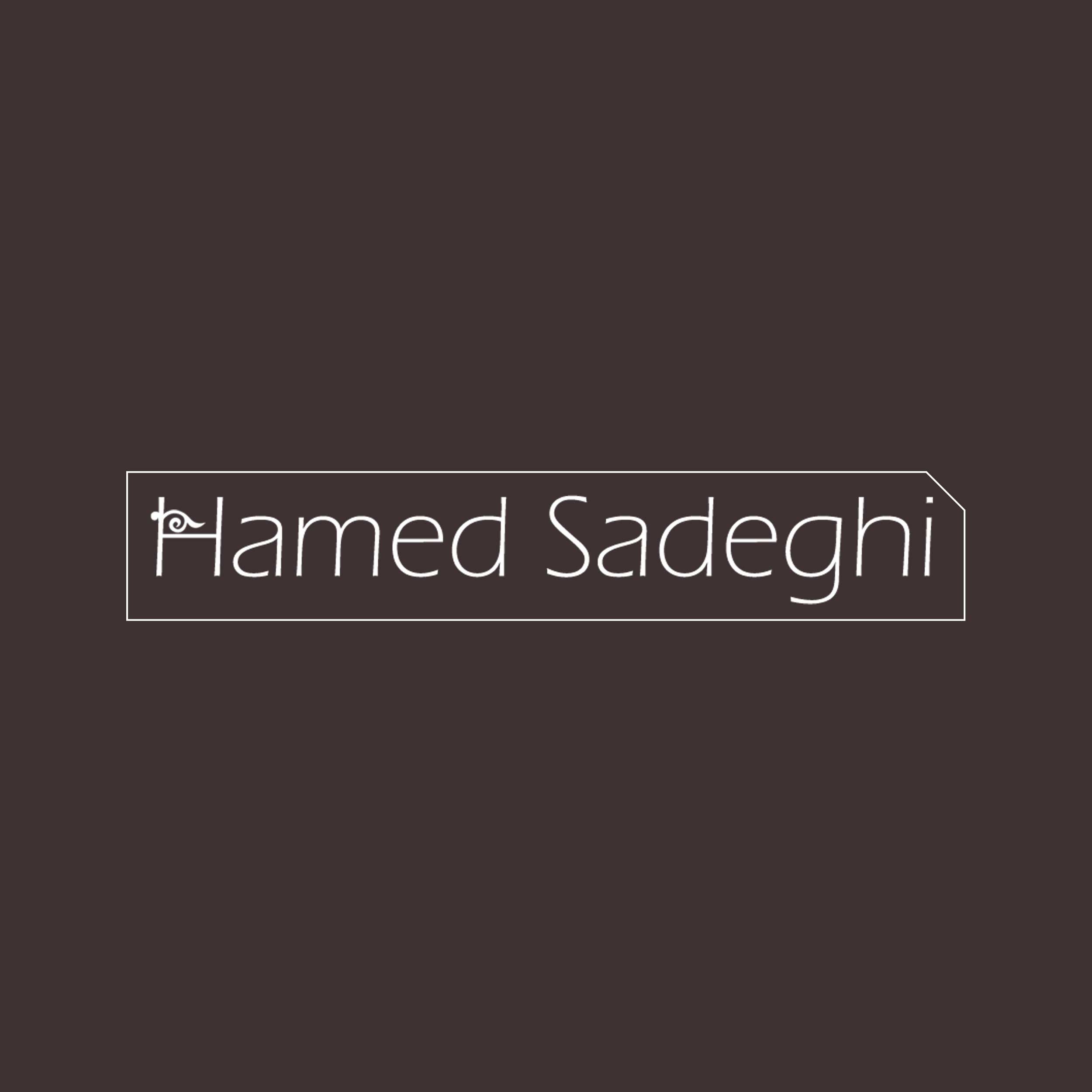 Hamed Sadeghi